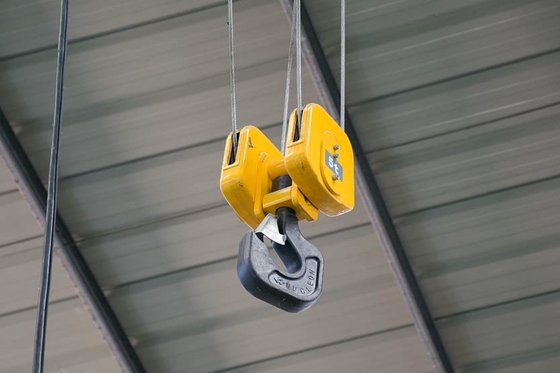 Dovere di Crane Forging Hook Block Heavy 30 tonnellate