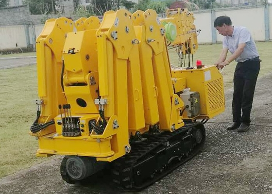 Sollevi il cingolo pieghevole Crane For Roof Work del ragno di altezza 5.5m-17.8m